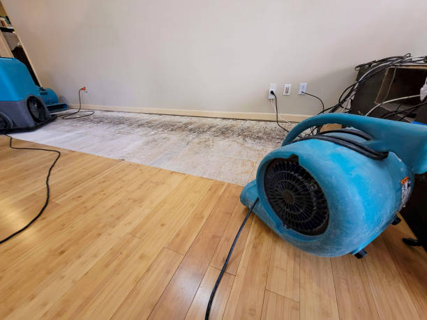 Professional Structural Drying technician working in Belews Creek, NC